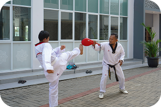 Taekwondo