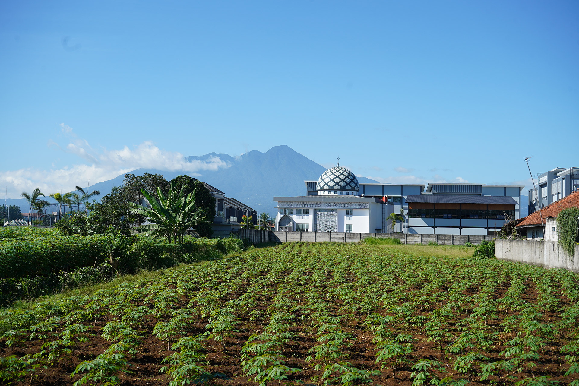 Kebun sayur dengan latar kompleks sekolah dan pegunungan